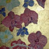 Orchidee