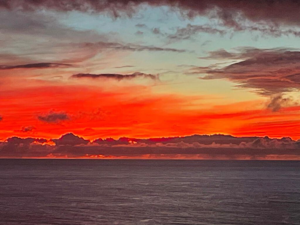 Foto: Agnes Palzer, 2024, Kanaren,Spanien Foto: Agnes Palzer, 2024, Kanaren,Spanien