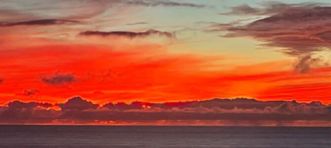 Mit Farben ins neue Jahr – Malworkshop 10.01.2026